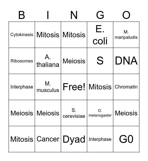 The Cell Cycle & Genetics Bingo Card