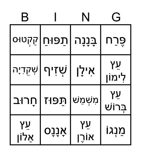 בִּינגוֹ ט"ו בִּשְבָט Bingo Card