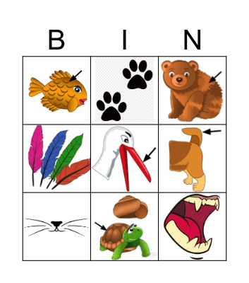 Animals Body Parts Bingo Card