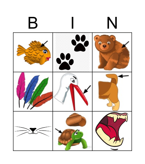 Animals Body Parts Bingo Card