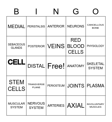 Dental Anatomy and Physiology Bingo Card