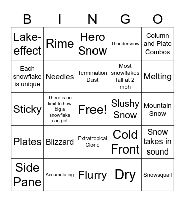 Types of Snow (and some snow fun facts) Bingo Card
