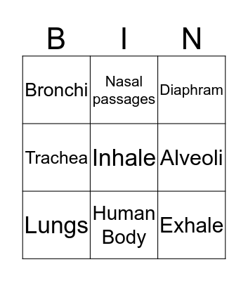 Human Respiratory System Bingo Card