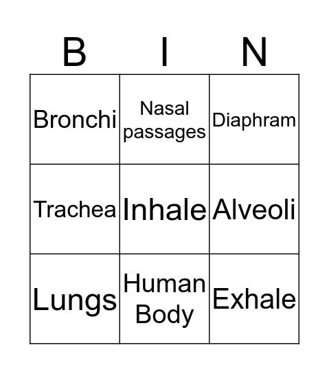 Human Respiratory System Bingo Card