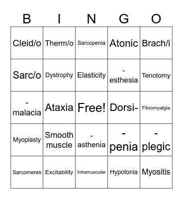 Muscular System Bingo Card