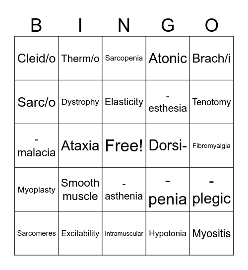 Muscular System Bingo Card