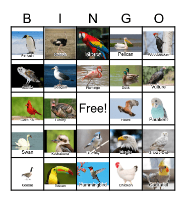 Bird Bingo Card