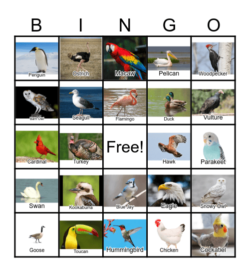 Bird Bingo Card