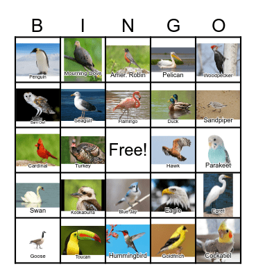 Bird Bingo Card