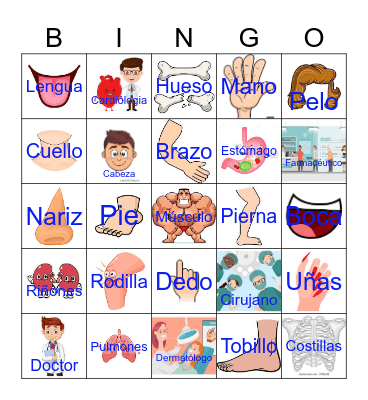 Loteria Anatomia Bingo Card