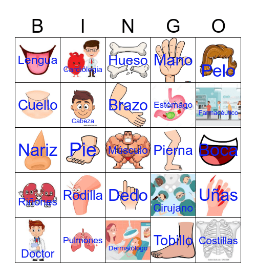 Loteria Anatomia Bingo Card