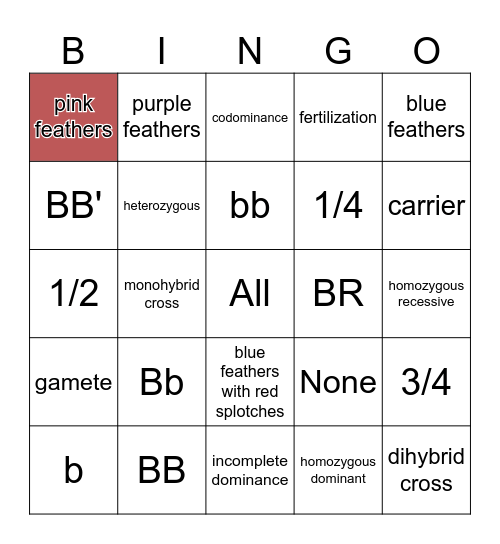 Punnett Squares Bingo Card