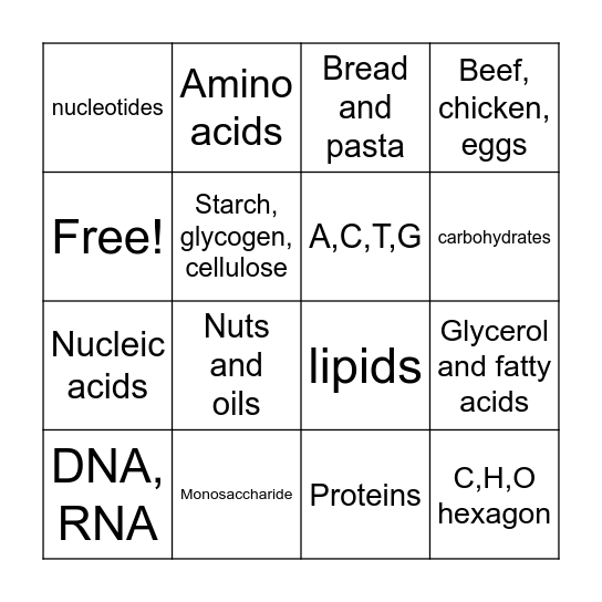 Macromolecule Bingo Card
