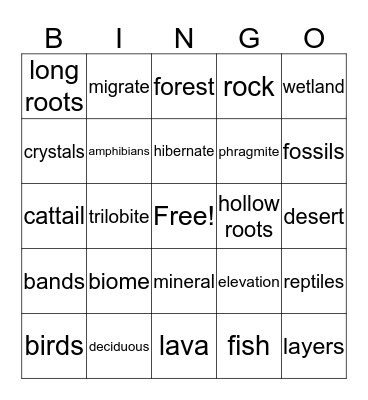 Fourth Grade Science Bingo Card
