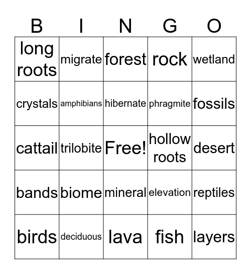 Fourth Grade Science Bingo Card