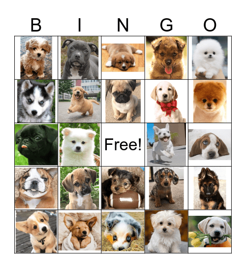 PUPPY BINGO Card