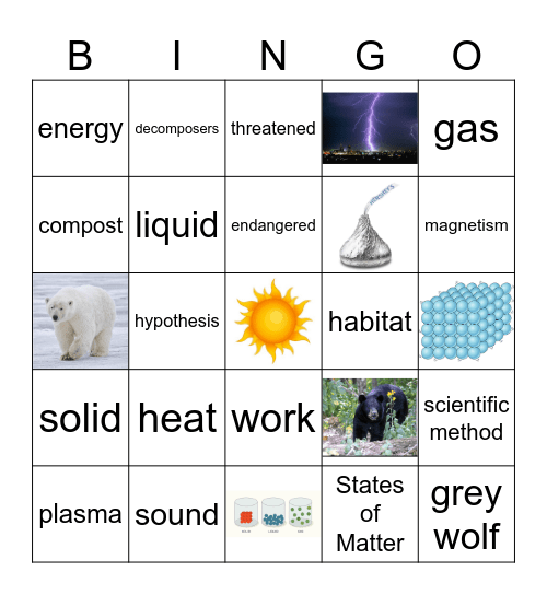 Third Grade Science Review Bingo Card