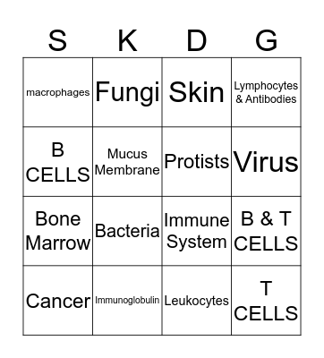 Immune System Bingo Card