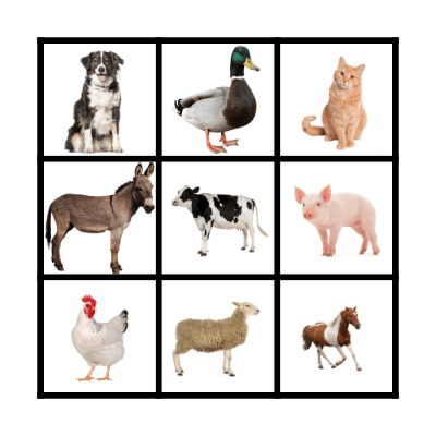 Farm Animal Sounds Bingo Card