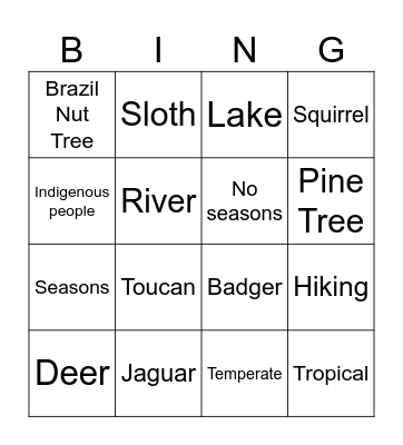 Rainforests Bingo Card