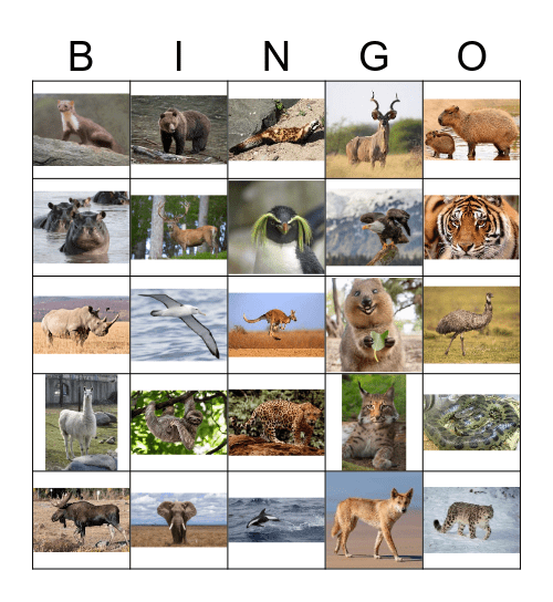 Životinje Bingo Card