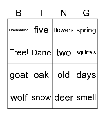 Dachshund and Dane Bingo Card