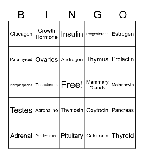 Endocrine Bingo! Bingo Card