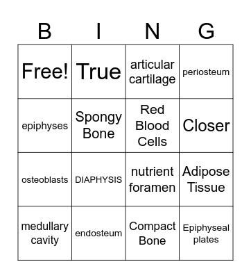 Long Bone Bingo Card