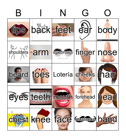 Partes Del Cuerpo Bingo Card