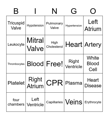 Cardiovascular System Bingo Card