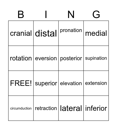 positional/movement terminology Bingo Card