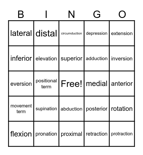 movement/positional terminology Bingo Card