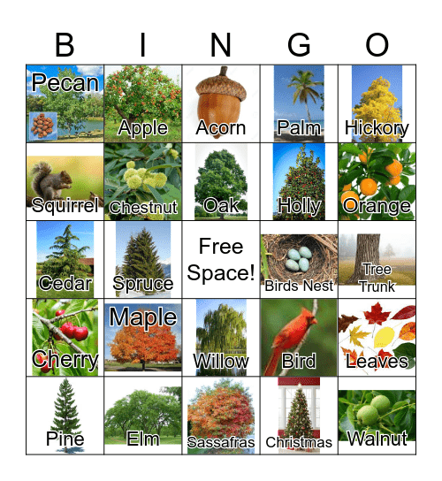 TREES Bingo Card
