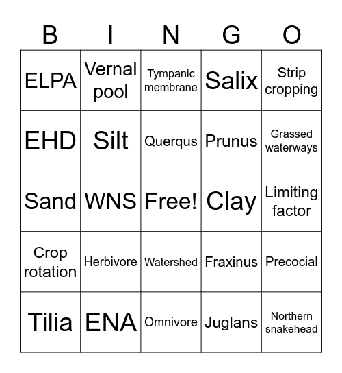 1st row Bingo Card