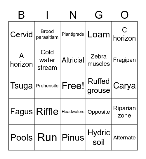 2nd row Bingo Card