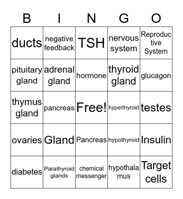 ENDOCRINE SYSTEM Bingo Card