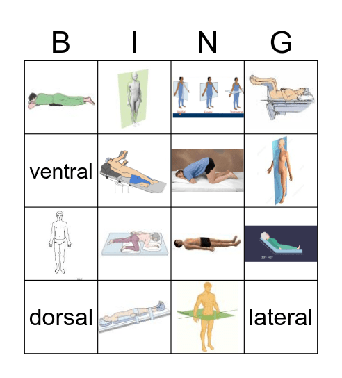 Body Positions Bingo Card