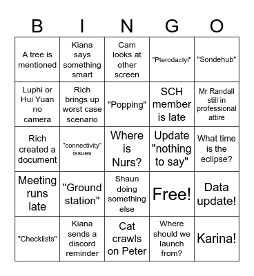 Balloon Meeting Bingo Card