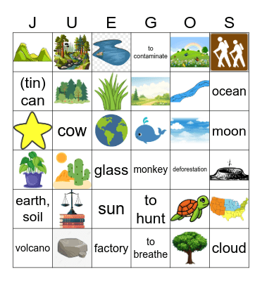 Lección 13 - La naturaleza Bingo Card