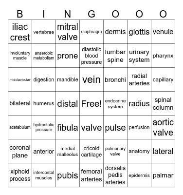 Anatomy Terms Bingo Card