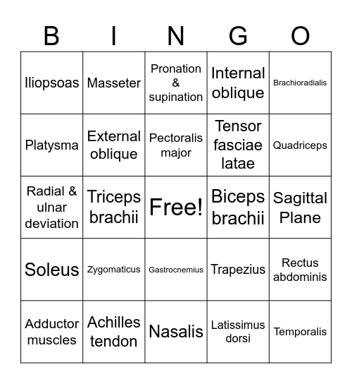 Muscle Bingo Card