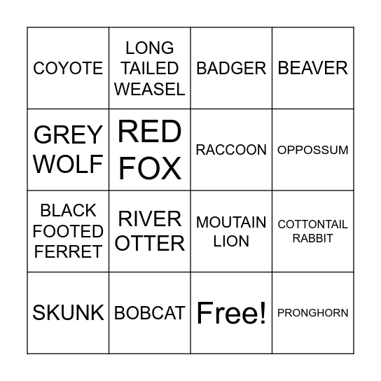 SD ANIMALS Bingo Card