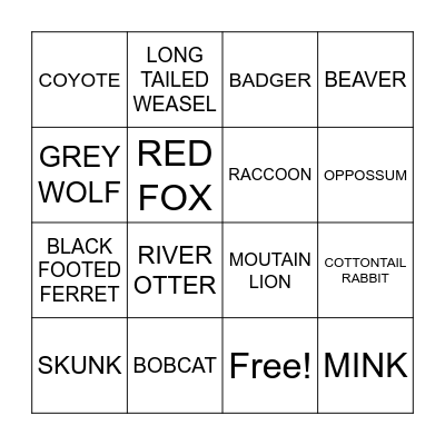 SD ANIMALS Bingo Card