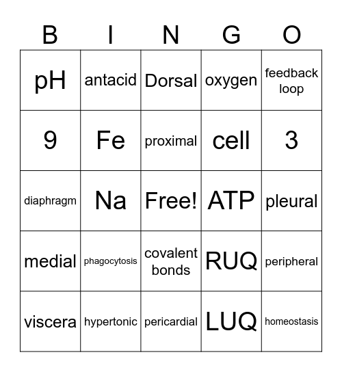A&P UNIT 1 Bingo Card