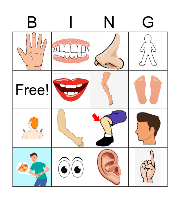 Las Parte del Cuerpo Bingo Card