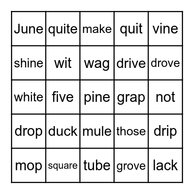 CVC vs CVE Phonics Bingo Card