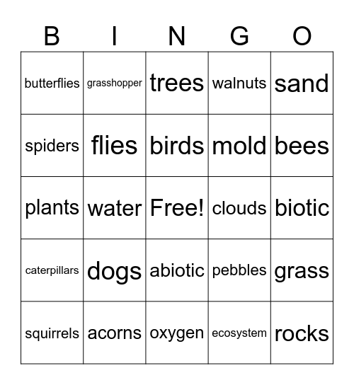 Abiotic and Biotic factors Bingo Card