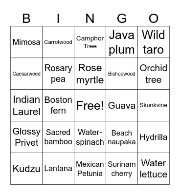 Florida Invasive Plants Bingo Card