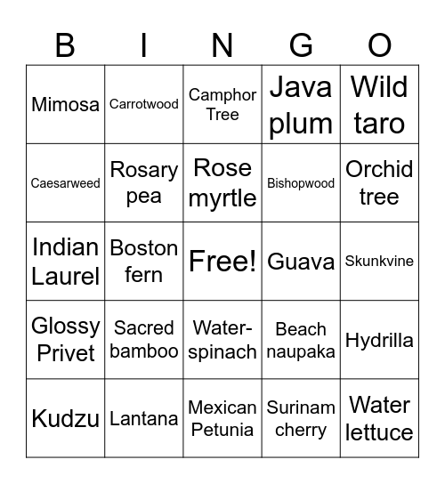 Florida Invasive Plants Bingo Card