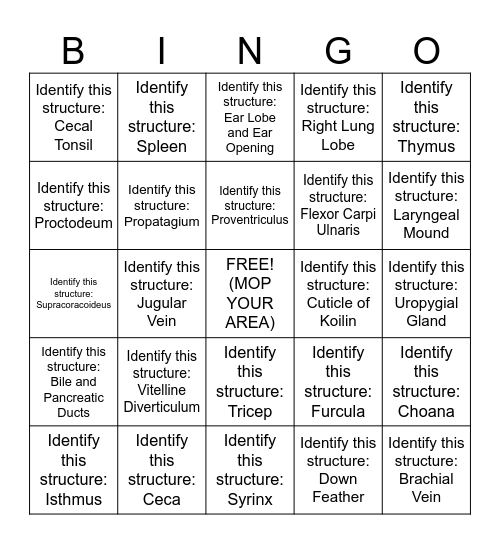 Avian GI Bingo Card